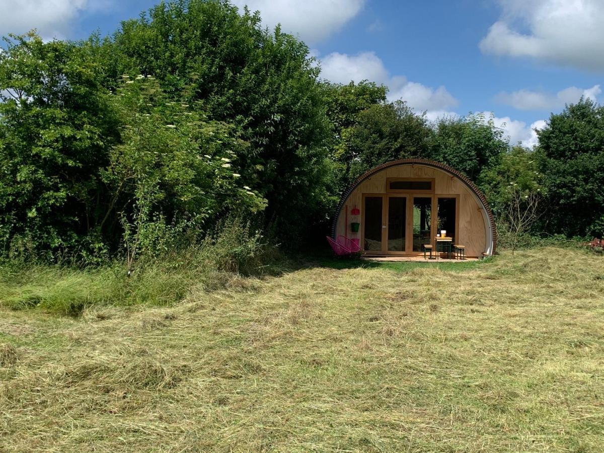 Marrum Het Lage Noorden Bed & Breakfast エクステリア 写真