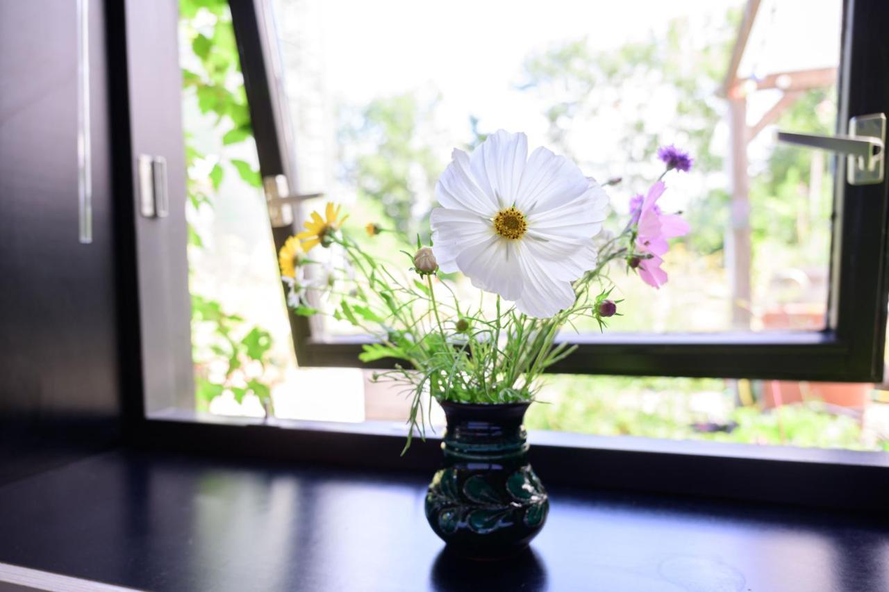 Marrum Het Lage Noorden Bed & Breakfast エクステリア 写真